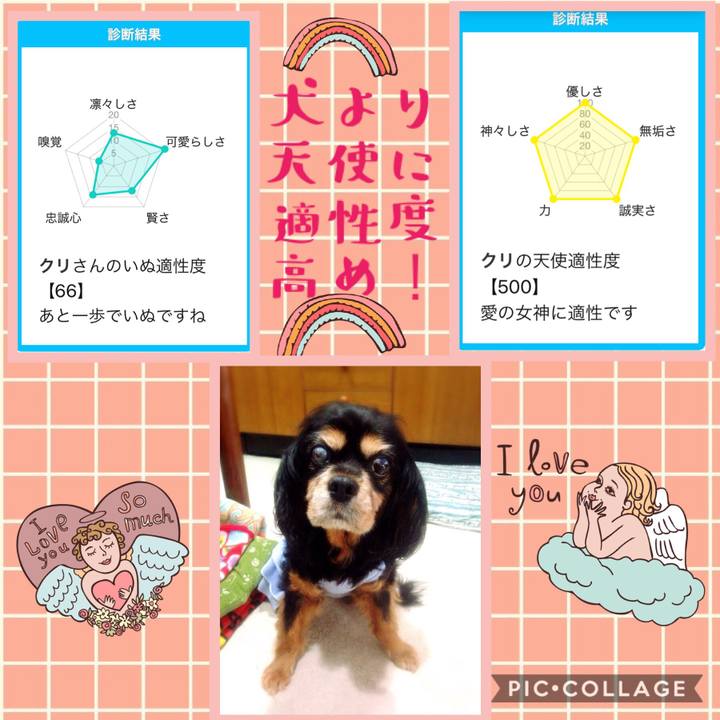 08accdb5 507e 4cd1 81d3 9beae2a103c9 1538577188318