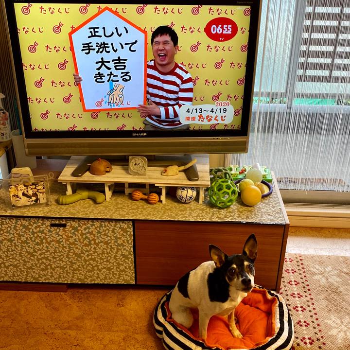 08ad19f3 8ce1 4fe7 9c69 aff8da5a1bf7 1586729779237