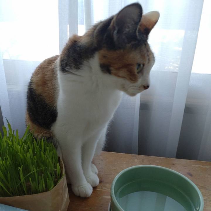 08ad8a38 b8a4 4f16 8308 e425103b2dcb 1735790487522