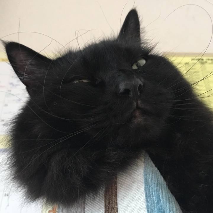 08adb814 afe9 472e a18c bcee293156f3 1558102794785