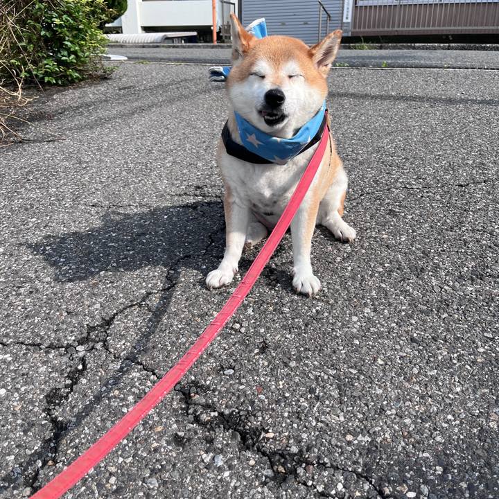 08adeafc 06ee 42fc bf27 17b72b31f32e 1721517157003