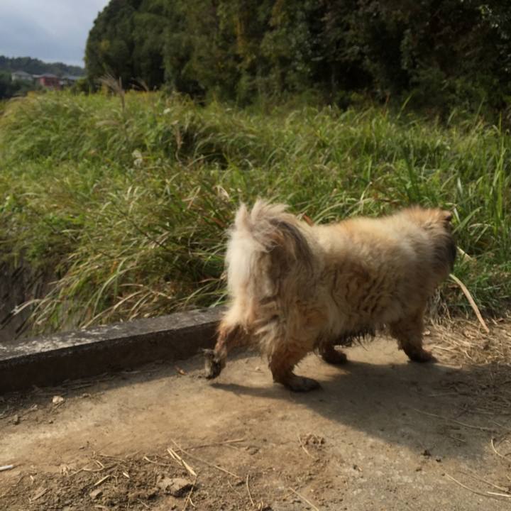 08adf8bf 543b 42de be65 0628ad95ffd1 1568263326892