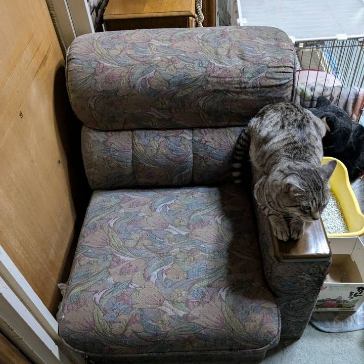 08ae1daa 6bc0 4f5a 8a77 f7d9738ccbf3 1730730011371