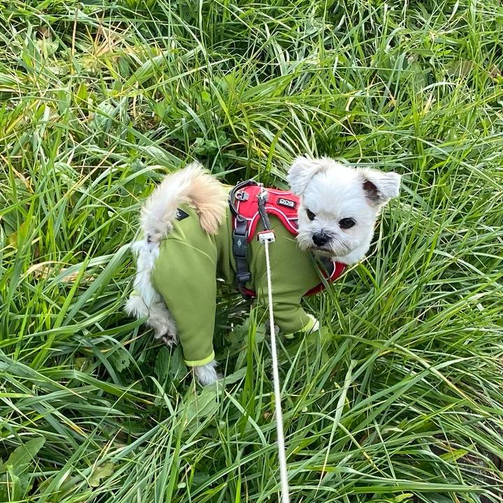 08ae2cad 562b 456d 8534 0b5f7f04faa6 1607775660076