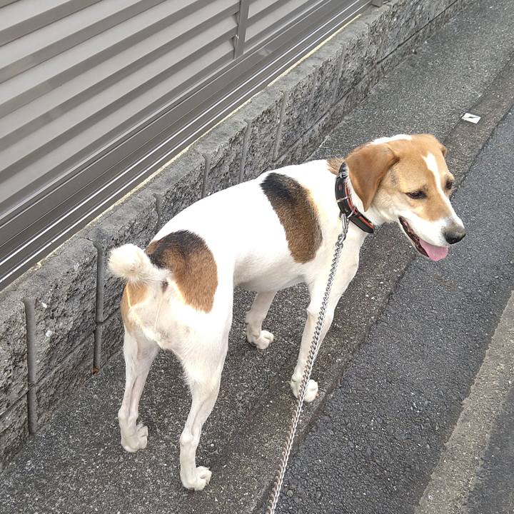 08ae959a 4216 4a6f b252 8e83135fe26c 1625390520139