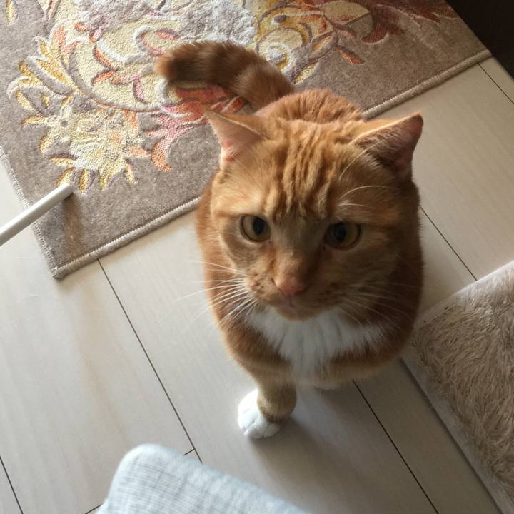 08aec17d 7243 4d34 8865 ec8e1e566da6 1540118270657