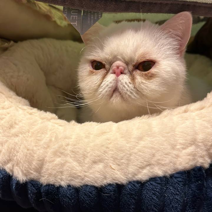 08af0e70 cf83 44fe 8baf 092d867bd982 1704714600556