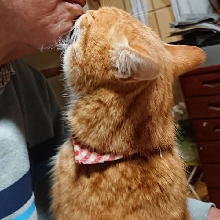 08af21e4 5222 4259 a059 0f8e5cb14891 1608669346848