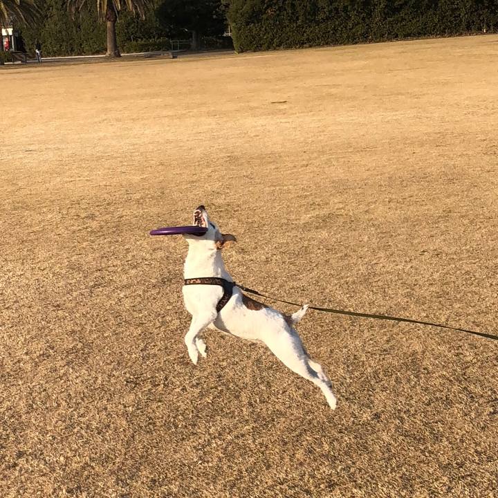 08af3be3 7a6e 4f94 b56e af3d9feca9c3 1516434340469