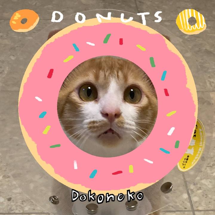 08af6217 96b6 4889 b7e8 616e87df9d2d 1744803962707