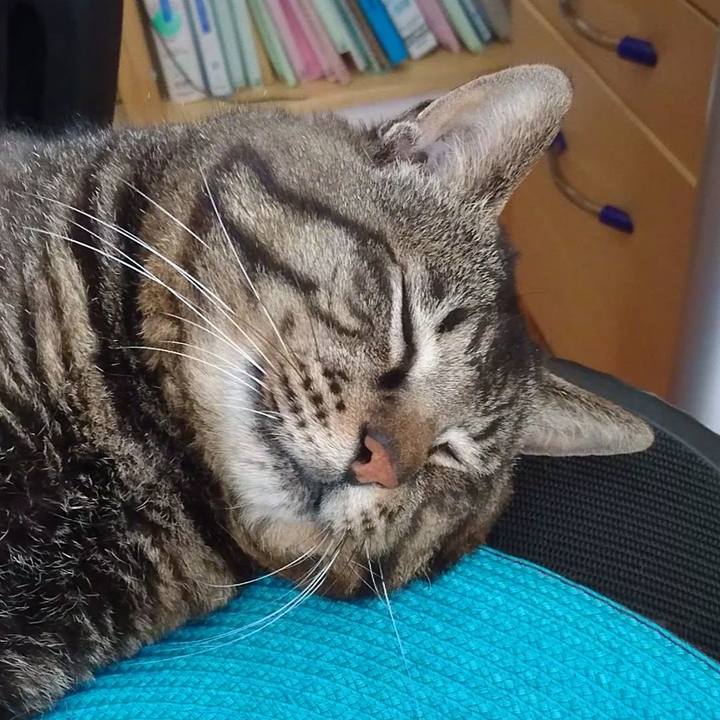 08af7917 f266 4fd6 b066 9e66fc82e112 1532662135953