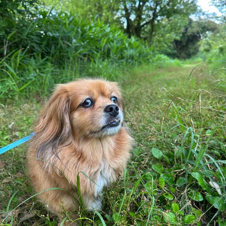 08af85a9 aa1a 46ef 823a 1263ae68d809 1687900161389