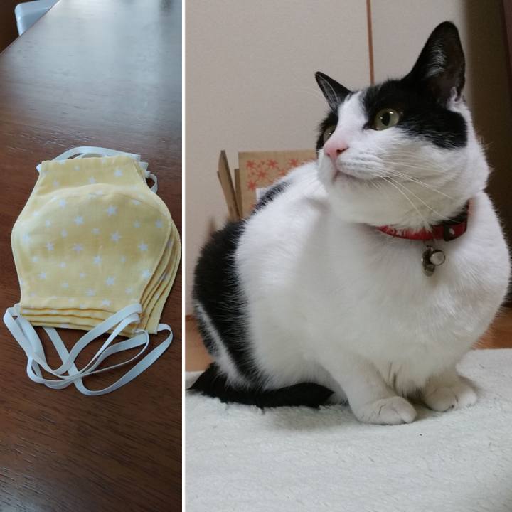 08af8dc6 1b64 4a0b 9f62 26136f410fde 1584661773546