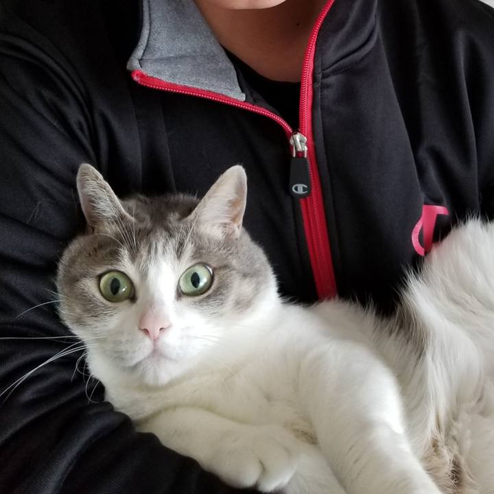 08afcaa9 9098 4482 bd5b de4ff21f9738 1585830438071