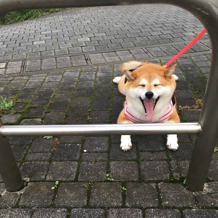 08b0494c 56bd 4403 b6f0 5ebae0843f76 1594375953885