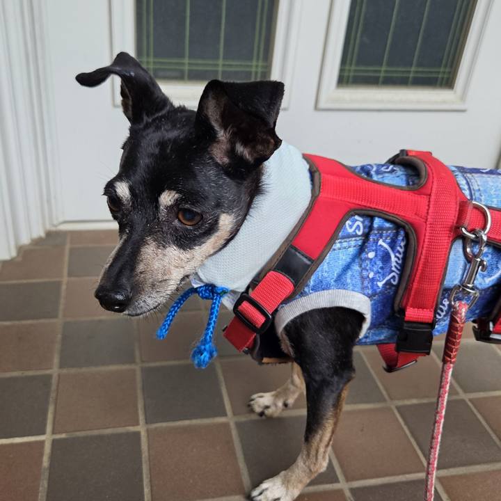 08b05086 5bc0 43fc ba12 e40d93d79ab1 1755295465003