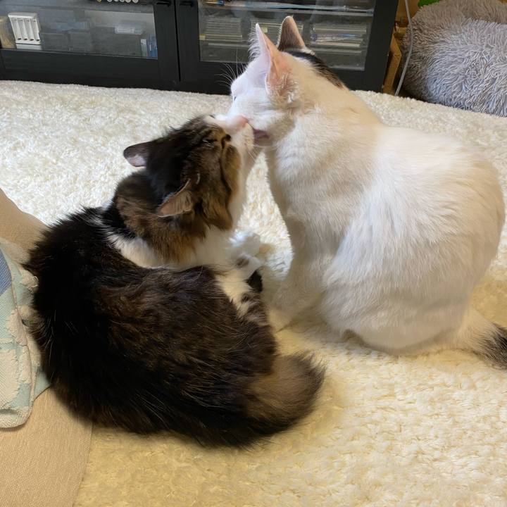 08b08315 92e7 4bb2 a04e a147aba52843 1666221023698