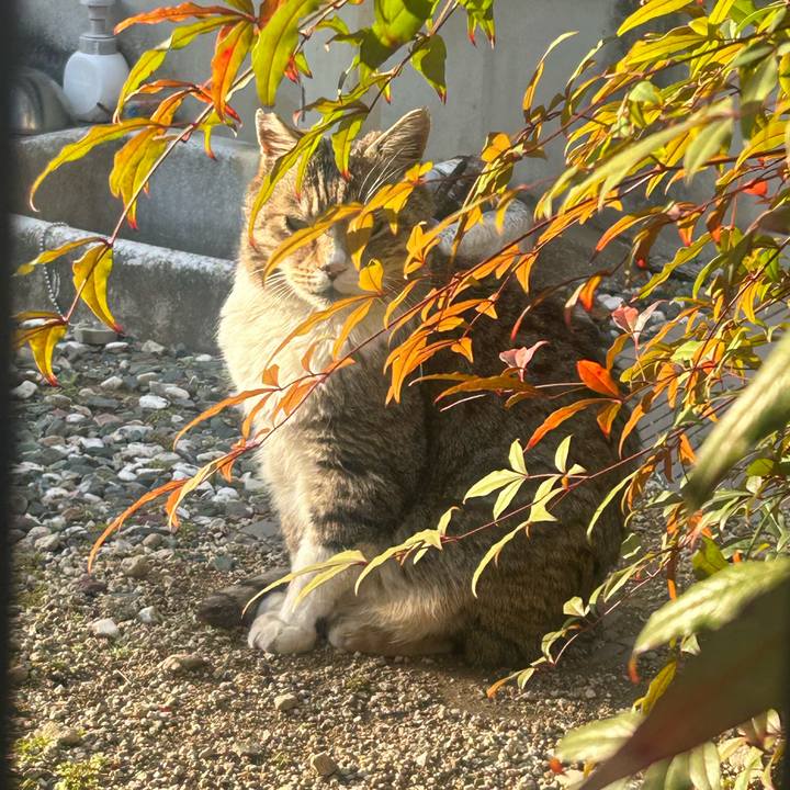 08b09f66 b78a 4c41 b0b0 59a051ff3c02 1772358485475