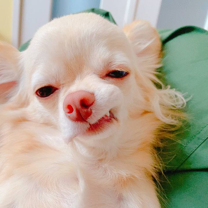 08b0aa55 6269 48a7 a6b1 65e116800132 1626331074392