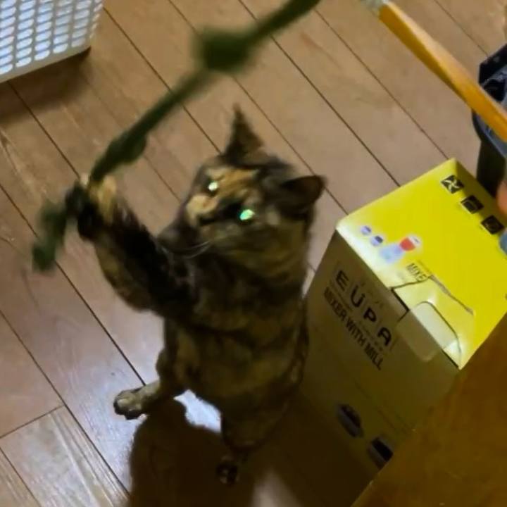 08b0fc89 5371 44b1 8025 5a7b18b7818c 1743707992553