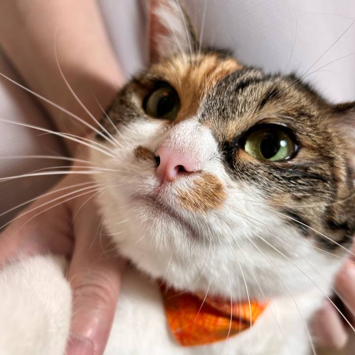 08b10d25 7b08 4e71 86f5 502983fab921 1759258306387