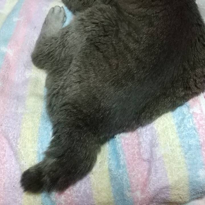 08b1203e 7bb9 4ed1 8147 d042749c191d 1696337247612