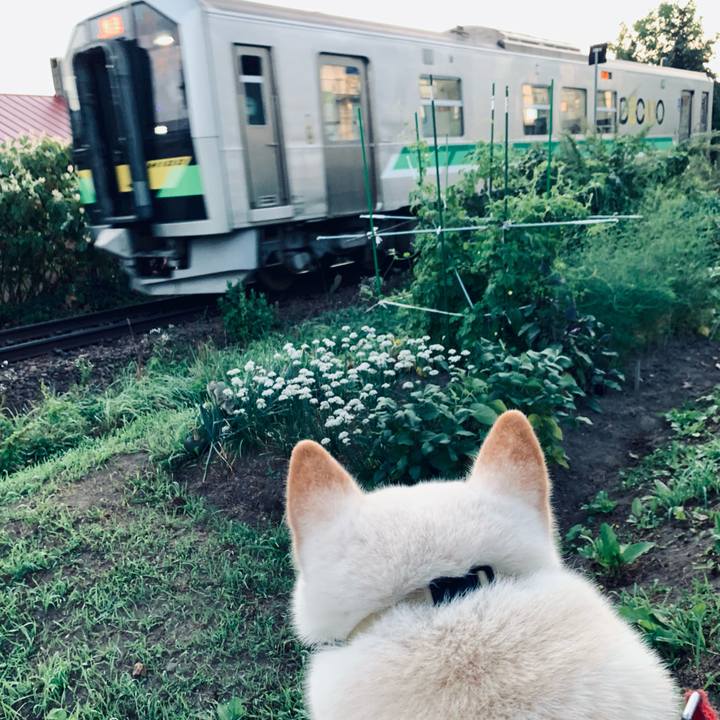 08b13df7 55b6 4bb5 bcb4 513cdcfe6ecd 1630875637836