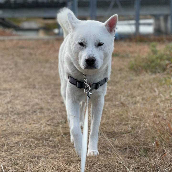 08b140e7 712f 48de 8cf5 ebe2b96619a5 1609640729250