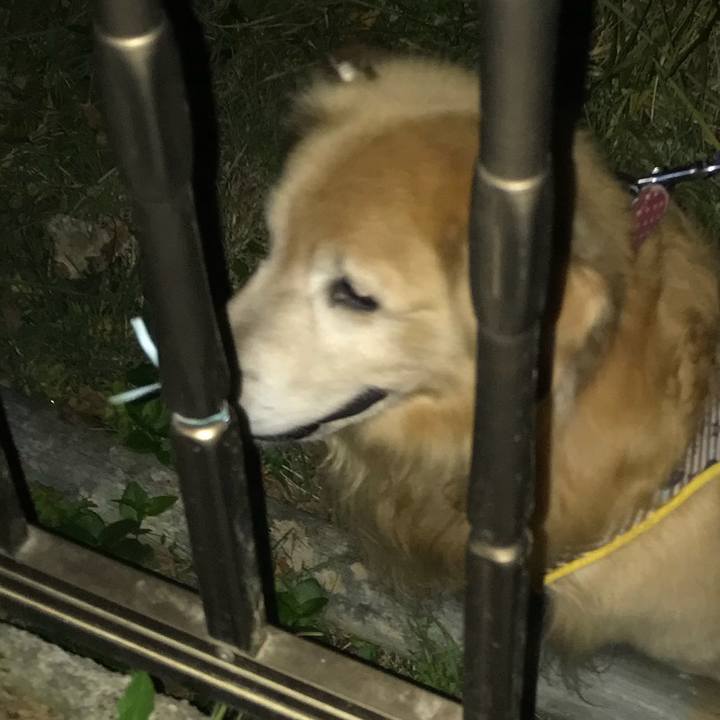 08b14cf2 de7c 4261 adb3 ca5b1ba9d937 1509534160624