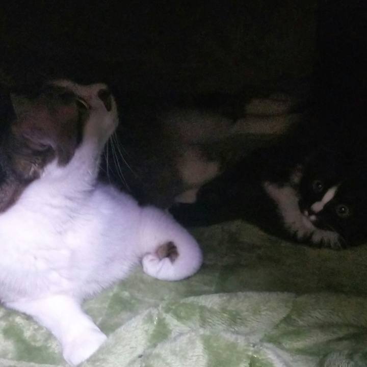 08b183a7 f8e8 41aa 98d2 a1e1174a883d 1641028462847