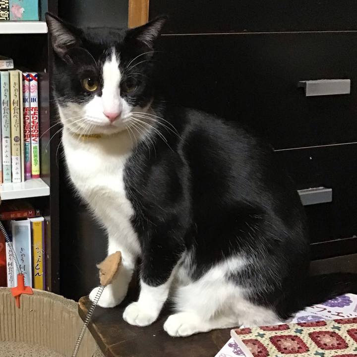 08b19648 f316 45a2 b102 5c8248fc2267 1646040284297