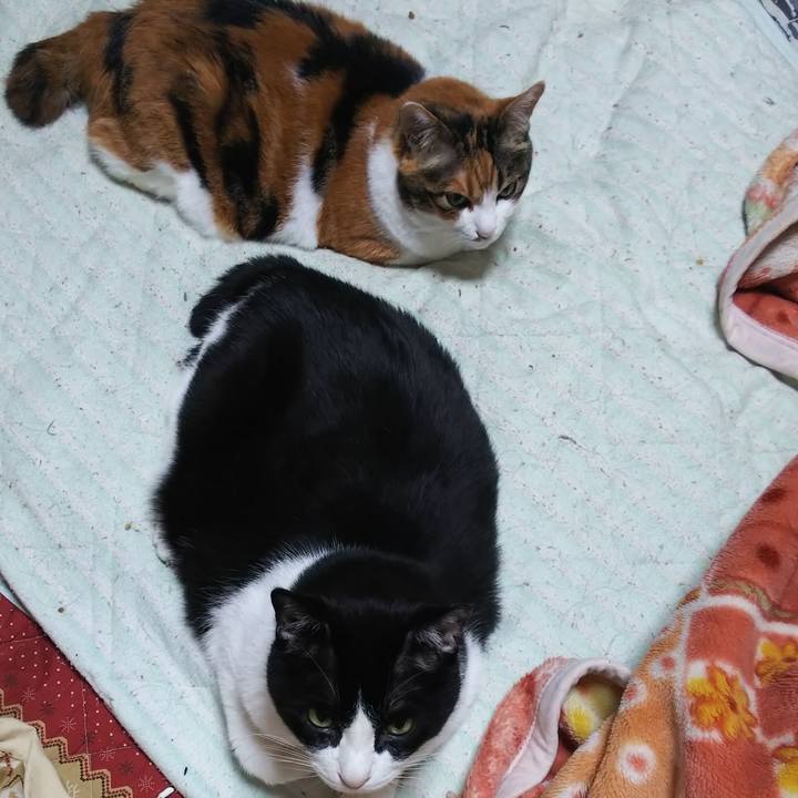 08b1a314 6971 4379 b002 77a4d3d01240 1561585952700