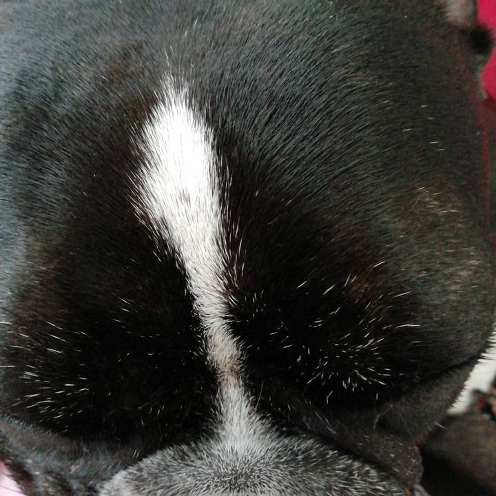 08b1c78d 186a 4658 8c6e 774560707d4e 1564882645612