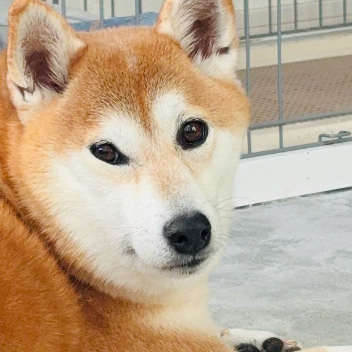 08b1d334 4274 4a61 aa13 4f7c7286d26f 1764305415971