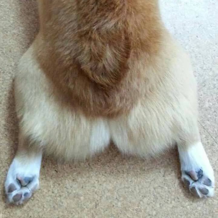 08b1de35 acc6 424e 8767 a7723c4ba11f 1587018294756