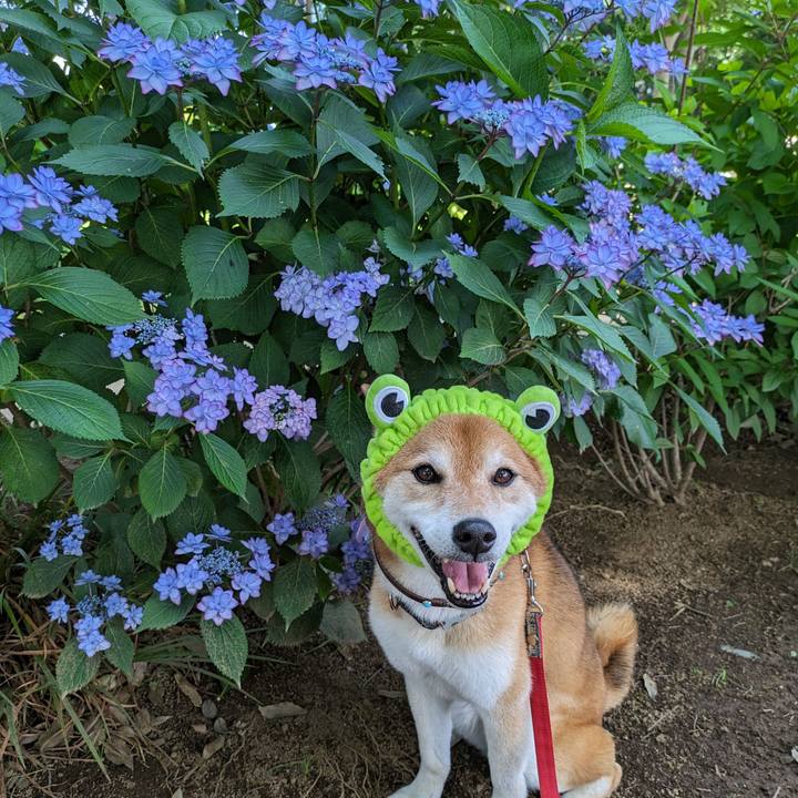 08b1eefa 81b4 4493 8ce3 ee608e7c8ea4 1718073377814