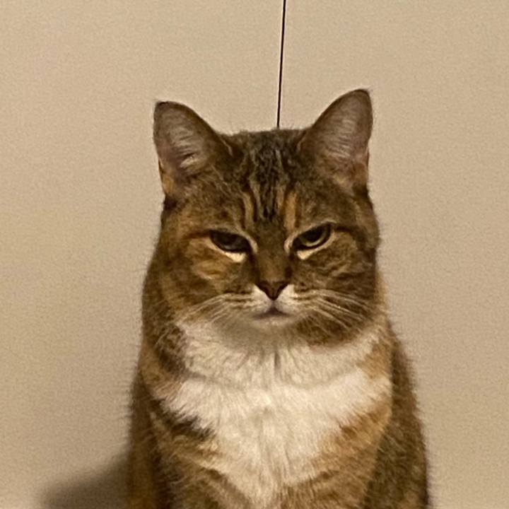 08b214f8 4f4c 4ac1 8619 8a551d97691a 1734427317165