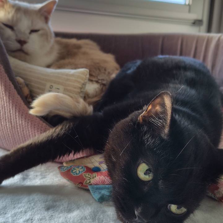 08b25d33 7e83 4218 85e3 fa5d7e1c0c0f 1754645537448