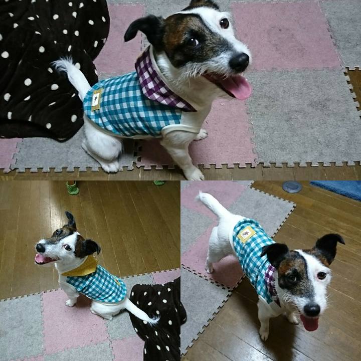 08b2612a 1f7d 4087 8315 088bea148459 1520949233191