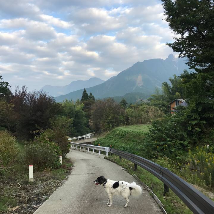 08b26ad1 8ae5 44f7 96e6 3ae9b647d9bb 1507787055481