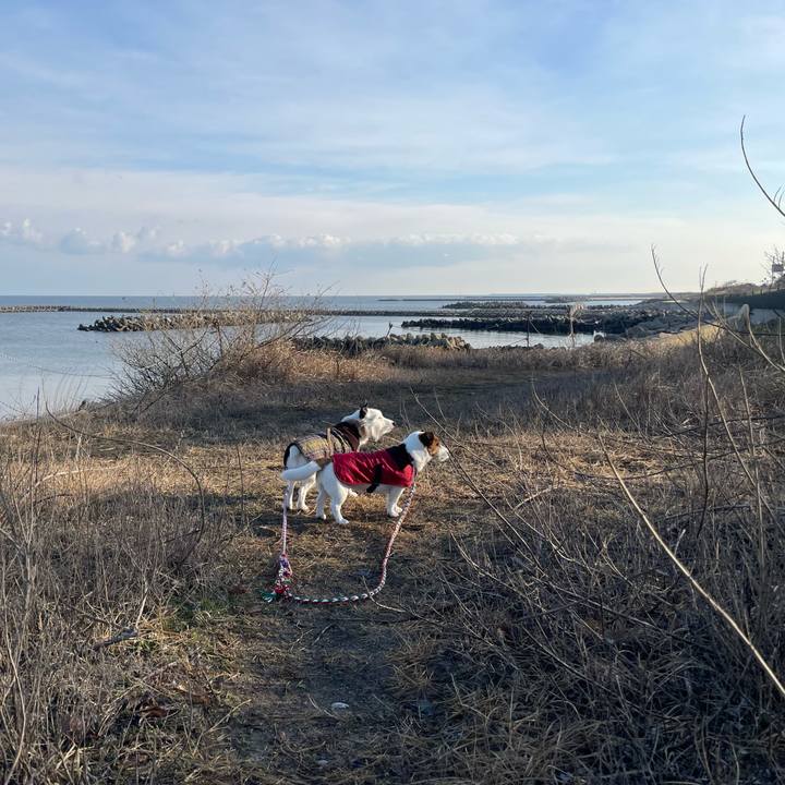 08b26c90 a9aa 4e10 ab0e 6fea53ac41af 1773705079577