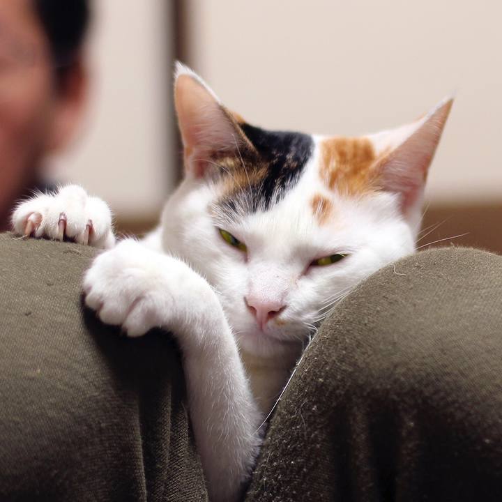 08b2c65f 4cfa 42c7 8e4e a32d026a87cc 1581551367427