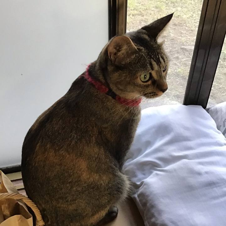 08b2ed75 e84a 4242 9ed8 701281cc2559 1601543236262