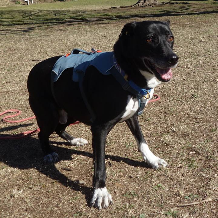 08b3091b 6667 40f1 9f5e 7d1b9efb3e8b 1711071109315