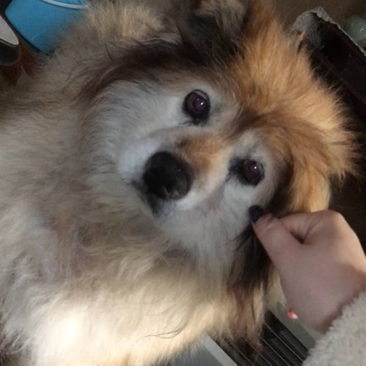 08b31fc3 55ad 44f1 8b04 cc027a28ba7d 1601654631120