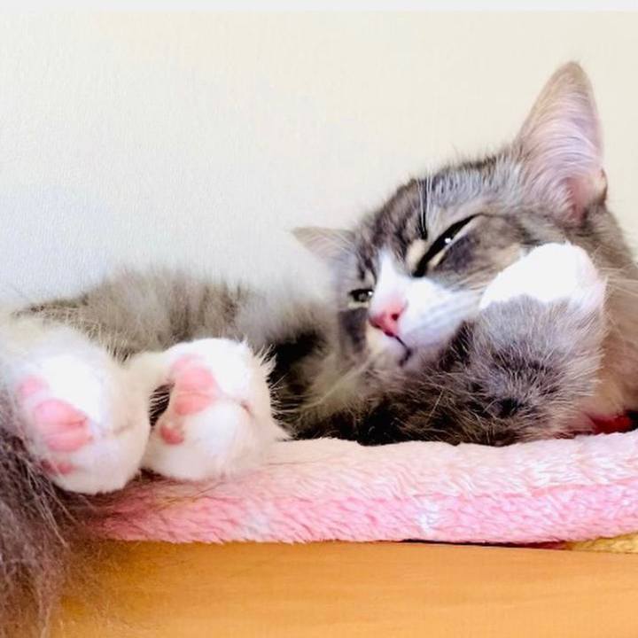 08b33f85 3453 4393 a432 8d9d31cb1160 1657991296947