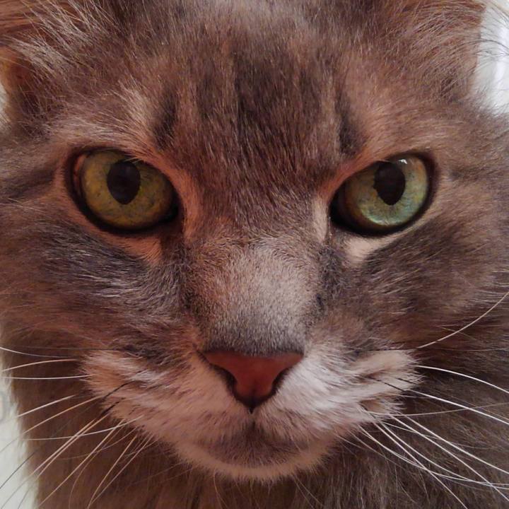 08b355c2 5e7b 4299 80a7 a2676436ad95 1774663342222