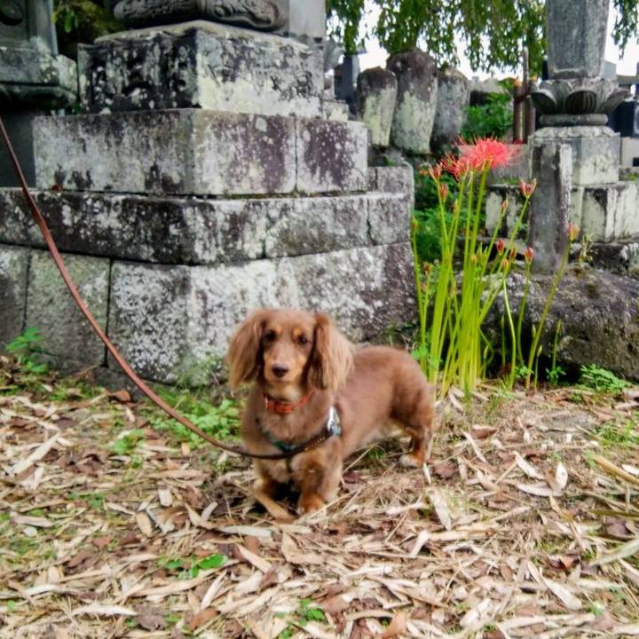 08b38282 6fdc 4726 b420 c17a62ee6f65 1600605263012