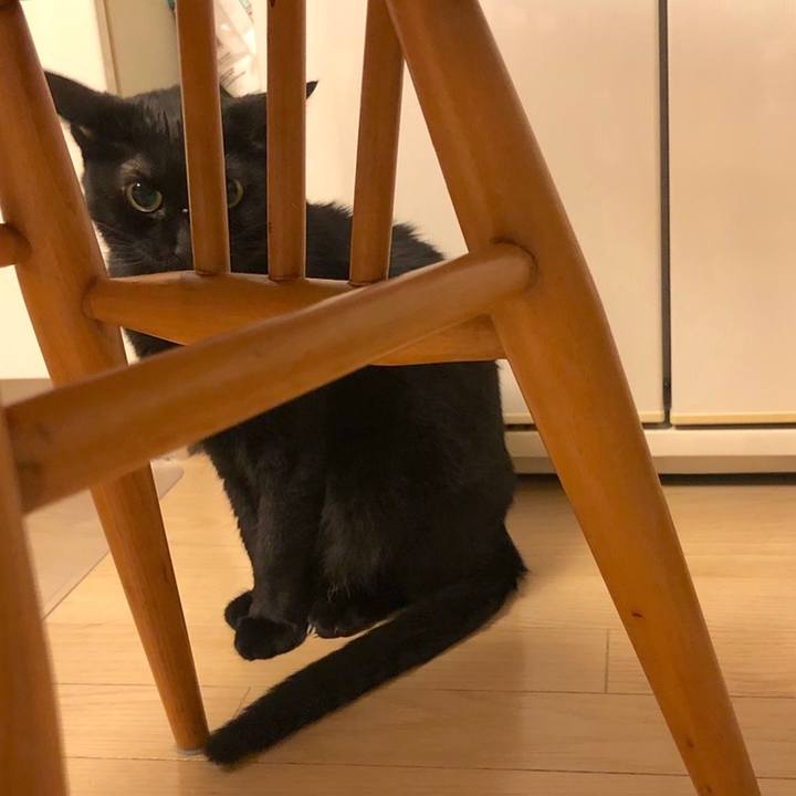 08b39e84 3cc1 45c8 8790 3d1bc7bec58e 1560342935519