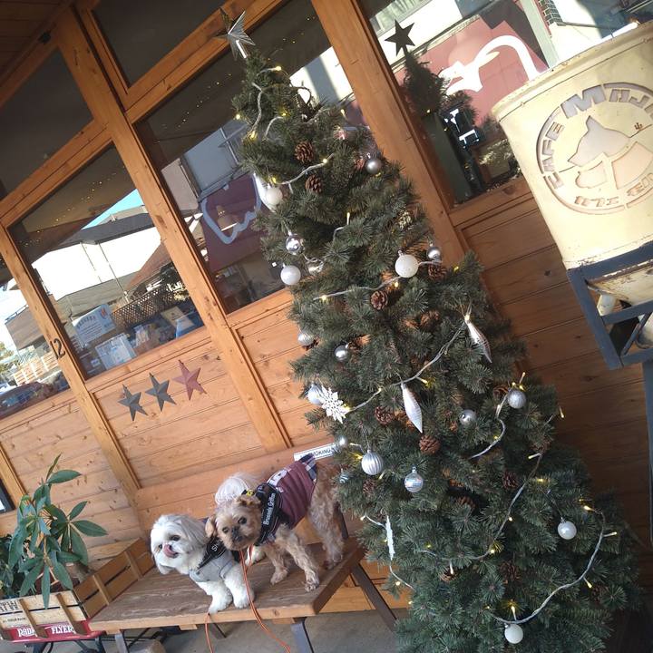 08b3ccf1 c58c 4415 b1d1 51637a5a3faf 1638260976425